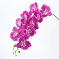 ราคา ช่อดอกไม้กิ่งยาวสำหรับการตกแต่งบ้านดอกกล้วยไม้ปลอมดอกไม้ปลอมของตกแต่งงานแต่งงานพวงหรีดบอนไซแบบทำมือ (20061396452)