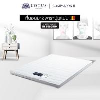 ราคา LOTUS ที่นอนยางพารารุ่น Companion ll หนา 3 นิ้ว ส่งฟรี (16025881898)