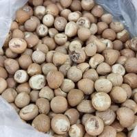 ราคา หมากแห้ง หมากขาว 300 500กรัม หมากแก่น หมากพลู (19908804779)