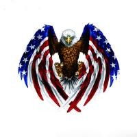 ราคา Cool 3D ธงอเมริกาลายนกอินทรีรถสติ๊กเกอร์มีกาวในตัวอุปกรณ์เสริมรูปลอก (11041334807)