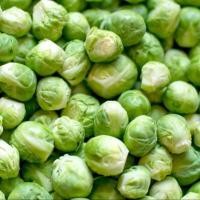 ราคา กะหล่ำปลีดาววว ถูกที่สุดเลย10บ เมล็ดพันธุ์กะหล่ำดาว 10เมล็ด งอกไว ปลูกอากาศร้อนได้ พร้อมส่ง (20876277061)