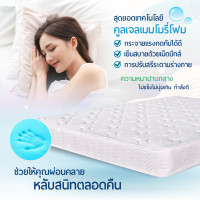 ราคา ที่นอน 6 ฟุต ที่นอน 5 ฟุต ที่นอน 3 5 ฟุต ทีนอน5ฟุต Mattress ที่นอนเมมโมรี่โฟม ที่นอนสปริง ขนาด3 5 5 6 ฟุต เตียงนอน (7220900465)