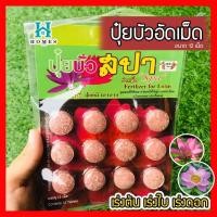 ราคา ปุ๋ยบัว ปุ๋ยไม้น้ำ แผงละ 12 เม็ด สปา สูตรเร่งต้น สูตรเร่งดอก ปุ๋ยดอกบัว (12108582459)