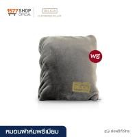ราคา Delicia เดลิเซีย หมอนผ้าห่ม 1 ชิ้น ผ้าห่มพกพาง่าย (21233803845)