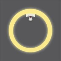 ราคา LAMPTAN หลอดไฟกลม LED Circular Set แสงขาว (8312741073)
