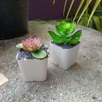 ราคา ต้นไม้มินิมอล ต้นไม้ปลอม 3ต้น 100 ตั้งโต๊ะทำงาน โต๊ะเรียน แต่งห้อง แต่งโต๊ะทำงาน แต่งบ้าน พร้อมส่ง ทำเองหมด (16348419660)