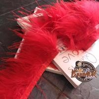 ราคา 45cm feather fluffy chic party vintage fancy dress Gatsby PDP7301 ขนนก กระจอกเทศ เส้นขนนก ขนฟู ความยาว 45 เซนติเมตร (14682376660)