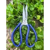 ราคา กรรไกร กรรไกรจีน กรรไกรตัดผ้า กรรไกรตัดกิ่งไม้ กรรไกรตัดผ้ายีนส์ กรรไกรตัดหนัง กรรไกรตัดกระดาษ (16947006394)