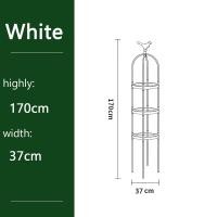 ราคา หนา14mm ซุ้มไม้เลื้อย โครงไม้เลื้อย ซุ้มกุหลาบ ซุ้มโครงเหล็ก ค้างไม้เลื้อย ท่อเหล็กเคลือบ PE กันสนิม โครงเหล็กดัด ซุ้มต้นไม้ (19358007729)