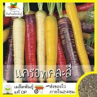 ราคา เมล็ดพันธุ์ แครอทคละสี 400เมล็ด Rainbow Mixed Carrot Seed เมล็ดพันธุ์แท้100 นำเข้าจากต่างประเทศ ปลูกผัก สวนครัว ราคาถูก (3685682941)