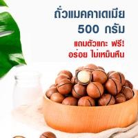 ราคา พร้อมส่ง ถั่ว แมคคาเดเมีย 500กรัม พร้อมทาน แบบมีเปลือก แถมที่แกะ อบพร้อมทาน มีประโยชน์ โปรตีนสูง อาหาร ถั่วและธัญพืช (17754054139)