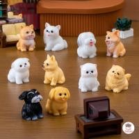 ราคา น้องหมาปุ๊กลุ๊ก เซต 10 ชิ้น สาวขายาว เซ็ท 4 ชิ้น ตุ๊กตาจิ๋ว โมเดลจิ๋ว แต่งสวน ตุ๊กตาแต่งสวนจิ๋ว ตุ๊กตาจัดสวนถาด (6513226588)