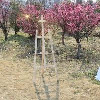 ราคา ขาตั้งไม้ ขาตั้งวาดรูป ขาตั้งรูป แบบตั้งโต๊ะ สีธรรมชาติ ขนาด 1 5m ขาตั้งรูปภาพ ขาตั้งกรอบรูป Painting Easel Wood Easel (11472911536)