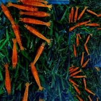 ราคา กุ้งแคระ มี 11 แบบ (21287642910)