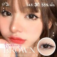 ราคา คอนแทคเลนส์ คิตตี คาวาอิ Falling Brown (16778173073)