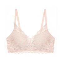 ราคา Triumph เสื้อชั้นในไม่มีโครงสวมใส่สบาย รุ่น Style Blessed P รหัส 10214200 สีชมพู 00WJ (19863747036)