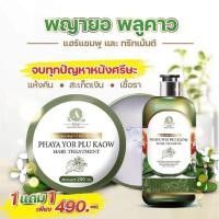 ราคา พญายอ พลูคาว แชมพู1ขวด ทรีทเม้นต์1กระปุก อัญญาพญายอ ชุดแก้ปัญหารังแค ผมแห้ง หนังศรีษะแห้ง ลอก เชื้อรา แก้คัน สะเก็ดเงิน กลากเกลื้อน ด้วยสมุนไพรแท้ (18997543860)