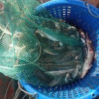 ราคา ที่ดักกุ้ง ที่ดักปลา กรงดักปู ตาข่ายดักปลา แหจับปลา มุ้งดักกุ้ง กระชังดักปลา ลอบดักปู Fish Trap Prawn Trap แห แหดักปลา ไซ ลอบ (3989898785)