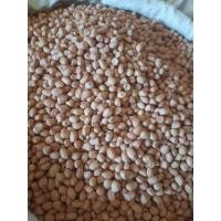 ราคา ถั่วลิสง สีแดง เม็ดพันธุ์ถั่วลิสง ขนาด1kg 花生 huasheng (19168843766)