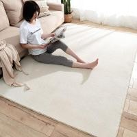 ราคา CATNAP พรมปูพื้น พรมขนนุ่ม สไตล์มินิมอล ขนาด 120x160 cm 140x200 cm 160x230 cm (20720428543)