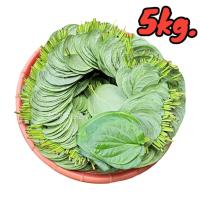 ราคา က မ ရ က ใบพลู พลู พลูกินหมาก หมากแห้ง หมาก พลูสด ใบพลูสด พลูพม่า พลูหมาก หมากพลู (20884786125)