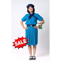 ราคา ลดราคาพิเศษ กระโปรงยุว กระโปรงยุวกาชาด สีฟ้า เครื่องแบบยุวกาชาด ยี่ห้อราชพฤกษ์ KGMUNIFORM (21100627729)