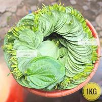 ราคา ใบพลู เกรดA พลู ใบพลูสด พลูพม่า 1000g 1kg พลูกินหมาก หมากพลู หมากพม่า พลูเขียว พลูสด (17092981067)