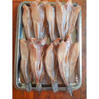 ราคา สดใหม่จากไร่ ปลาช่อนแดดเดียว ขนาดกลาง 7 10 ตัว กก แพ็คละ 500 กรัม เจ้าพระยา ปลาแดดเดียว ราคา ส่ง ถูก (20992385040)