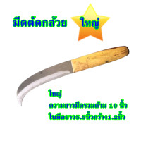 ราคา มีดตัดกล้วย มีดหั่นกล้วย มีดปาดกล้วย มีดปลอกกล้วย มีดตัดหวีกล้วย มีดตัดใบกล้วย มีดอรัญญิกแท้100 (9172786963)