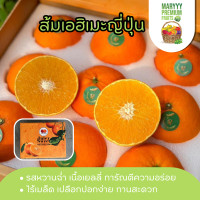 ราคา ส้มเยลลี่ ส้มเอฮิเมะ สายพันธุ์ญี่ปุ่น น้ำหนัก 4 5 กิโลกรัม ยกลัง 16 18 ลูก เข้าใหม่ เนื้อเยลลี่ หวานฉ่ำ เปลือกบางหวานเจี๊ยบ ไร้เมล็ด ผลไม้นานาชาติ Maryyypremiumfruits (21371381649)