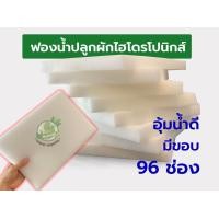 ราคา ฟองน้ำปลูกผัก ฟองน้ำปลูกผักไฮโดรโปนิกส์ ฟองน้ำเพาะต้นกล้า 96 ช่อง (20872836207)