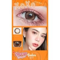 ราคา คอนแทคเลนส์ Xoxo Brown Black Gray Montra ขนาดกลาง ตาฟิลเตอร์ เลนส์ฟิตเตอร์ สวยปัง (18488709549)