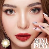 ราคา คอนแทคเลนส์ Mini Pony Brown Gray Montra Wink ขนาดมินิ (17510265137)