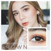 ราคา คอนแทคเลนส์ Mini Jeneth Brown Gray Kitty Kawaii ขนาดมินิ (19998571072)
