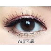 ราคา คอนแทคเลนส์ Mini Dolly Chesnut Gray Wink ขนาดมินิ ขายดี (17510160630)