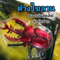 ราคา ด้วงไขลาน แมงมุม มดไขลาน คละสี ของเล่นไขลาน ของเล่นสัตว์ แมลงปลอม ด้วงปลอม มดปลอม แมงมุมปลอม แมลง สัตว์ไขลาน (21163969736)