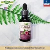 ราคา เอ็กไคนาเซีย โกลเด้นซีล Echinacea Goldenseal 30mL Alcohol Free 99 9 30 mL Natures Way (6613418274)