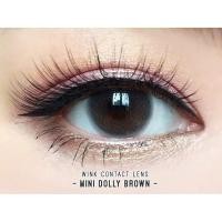 ราคา คอนแทคเลนส์ Mini Dolly Chesnut Gray Wink ขนาดมินิ ขายดี (17510160602)