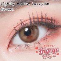 ราคา คอนแทคเลนส์ Lightly Mellow Brown Gray Luxzylens ขนาดมินิ (17510273273)