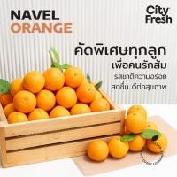 ราคา CityFresh ส้มนาเวล Navel Orange ผลไม้นำเข้า (21339383159)