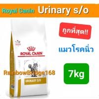 ราคา Royal Canin Urinary s o 7kg โรยัลคานิน อาหารแมวโรคนิ่ว นิ่วแมว ถุงขนาด 7 กิโลกรัม (19779447643)
