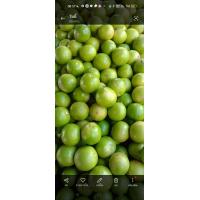 ราคา มะนาวแป้นพิจิต กิโลละ 35 บาท 1 กิโลได้ประมาณ 15 25 ลูก (20976766062)