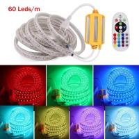 ราคา ไฟแถบไฟ LED AceDeal 5050 RGB มีรีโมทคอนโทรล แถบ RGB กันน้ำกลางแจ้ง220V (19523982594)