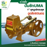 ราคา ปั๊มชัก ปั๊มดูดลึก ปั๊มน้ำ ปั๊มบาดาล สูบน้ำบาดาล เครื่องสูบน้ำ ปั๊มน้ำเกษตร ปั๊มเกษตร UMA สีทอง เครื่องปั๊มน้ำ แข็งแรง ทนทาน (14397698511)