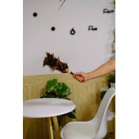 ราคา พร้อมส่ง ไม้ขนไก่ ไม้ปัดขนไก่ ไม้ปัดฝุ่น ไม้ขนไก่ปัดฝุ่น อุปกรณ์ทำความสะอาด ขนไก่ ทำจาก ขน ไก่ แท้ ขนไก่เกรดA (16575347741)