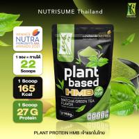 ราคา ส่งฟรี Plant Protein HMB Plus Matcha Green Tea แพลนท์ โปรตีน เอช เอ็ม บี พลัส กลิ่นมัจฉะ กรีนที Nutrisume นิวทริซัม (20062777553)