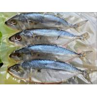 ราคา ปลาทูมัน แดดเดียวแม่กลอง เค็มน้อย อร่อยมาก แพ็ค4ตัว อาหารทะเล (20772450105)