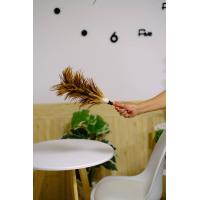 ราคา พร้อมส่ง ไม้ขนไก่ ไม้ปัดขนไก่ ไม้ปัดฝุ่น ไม้ขนไก่ปัดฝุ่น อุปกรณ์ทำความสะอาด ขนไก่ ทำจาก ขน ไก่ แท้ ขนไก่เกรดA (16575347744)