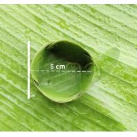 ราคา กระทงใบตองสด ใส่ขนม (20716769440)