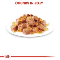ราคา Royal canin Kitten pouch Gravy jelly Loaf 85g x 12 ซอง อาหารเปียกลูกแมว มีหลายเนื้อสัมผัสให้เลือก (20386923152)